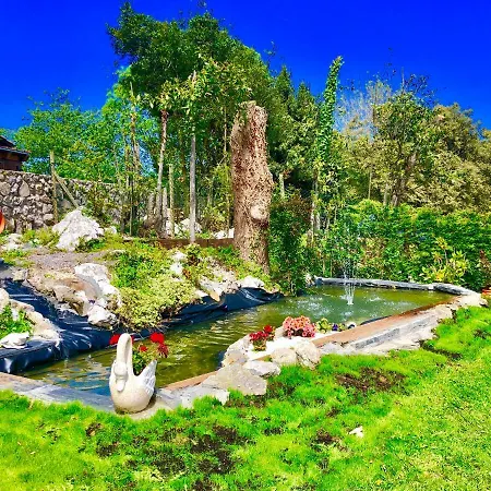 Lugar * Meluerda